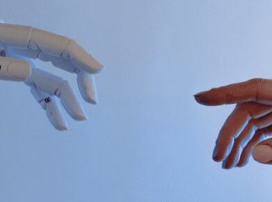 Everest blog baner-9